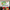 Read to me - Rainbow Helps at Home