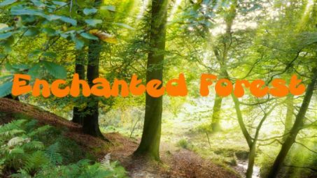enchanted forest mindfulness video
